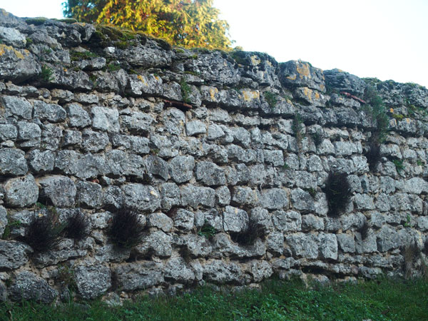mur de "pierre bleue"