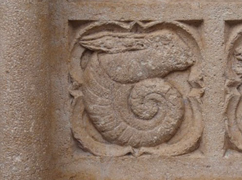 Motif ammonite Cathédrale St Jean-Baptiste Rognée