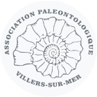 Association paléontologique Villers-sur-Mer